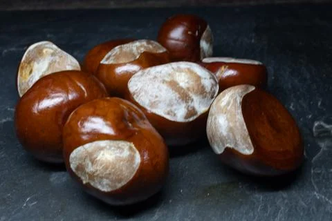 Chestnuts with a shiny brown shell Foto stock