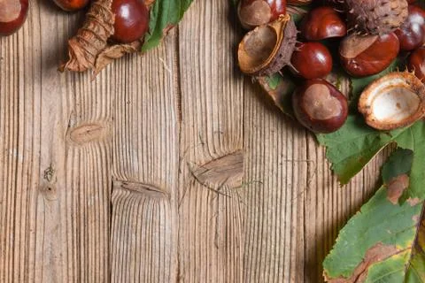 Chestnuts on a table Stock Photos
