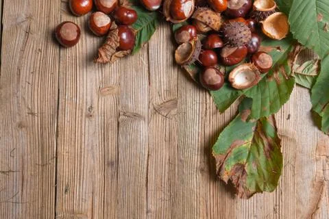 Chestnuts on a table Stock Photos