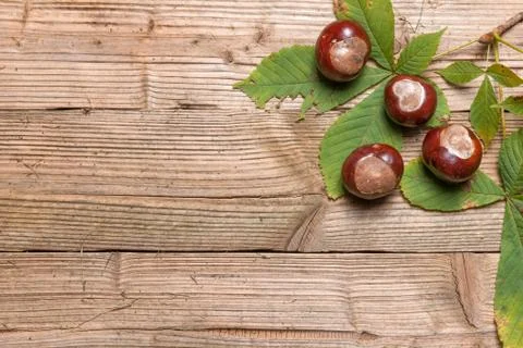Chestnuts on a table Stock Photos