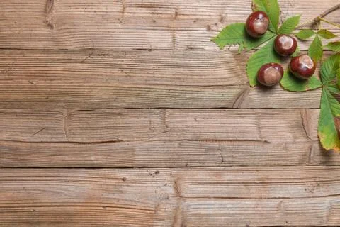 Chestnuts on a table Stock Photos