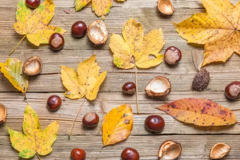 Chestnuts on a table Stock Photos