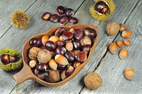 Chestnuts, walnuts and hazelnuts Foto stock