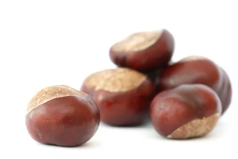 Chestnuts on white background Stock Photos