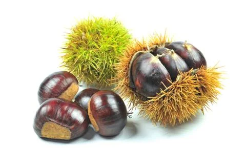 Chestnuts on white background Stock Photos