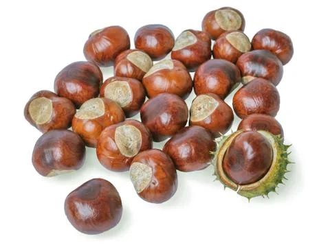 Chestnuts on a white background Stock Photos