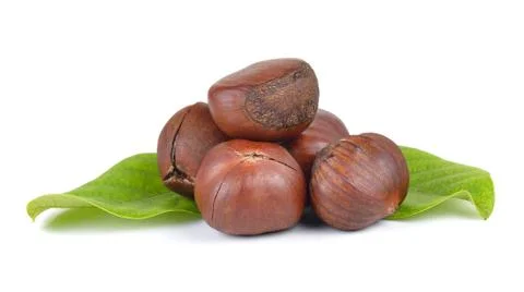 Chestnuts on white background Stock Photos