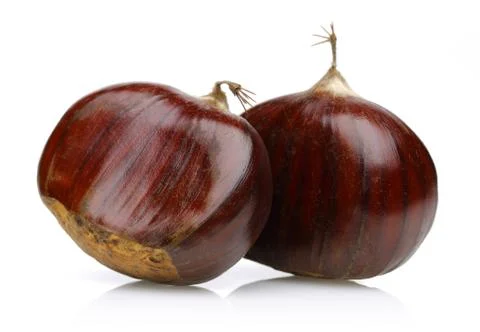 Chestnuts on white background Stock Photos