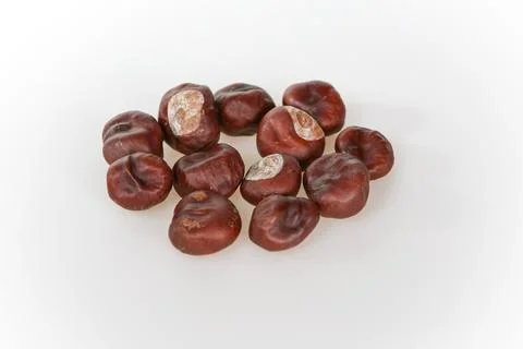 A chestnuts on a white background Stock Photos