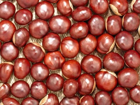 Chestnuts.background. Stock Photos