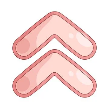 Chevron up イラスト素材