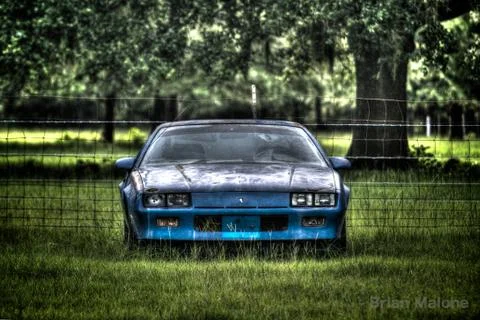 Chevy Camaro 写真素材