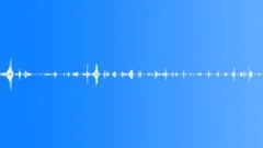 Chewing apple 02Sound Effect