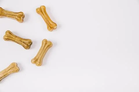 From chewing bones Stock Photos