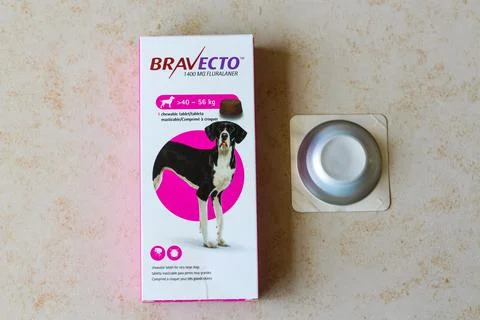 Chewing tablets to protect dog from fleas and ticks Stock-Fotos