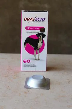Chewing tablets to protect dog from fleas and ticks Stock Photos