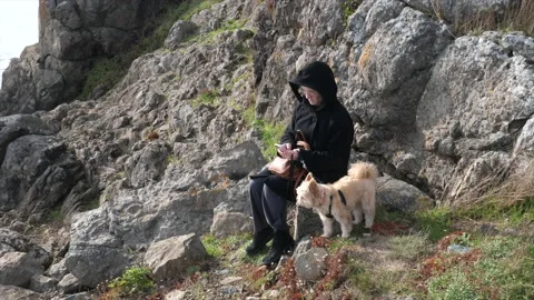 ChewyBeach04 Video stock 160581763