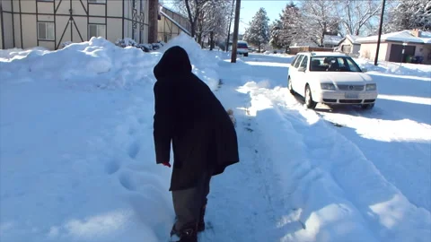 ChewySnow02 Video stock 160521413