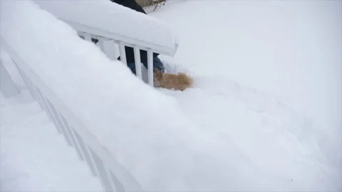 ChewySnow02 Video stock 160557881