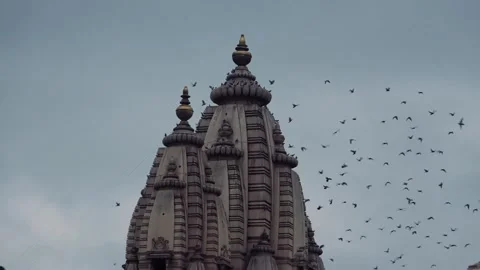 Chhatarpur Temple Complex  Famous Hindu Spiritual Landmark in Delhi Stock Footage 318617497
