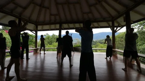Chi gong in dojo Stock Footage 113206445