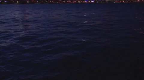 CHI skyline night tiltup Video stock 35258253