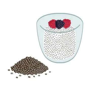 Chia pudding with berries and seed ingredients Stock Illustration