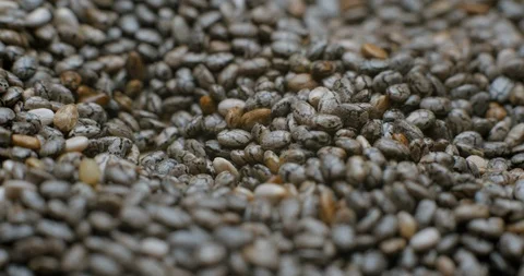Chia seed falling and rotating macro studio Stock Footage 101468693