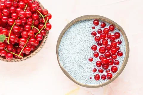 Chia seed pudding and red currant berries Stock Photos