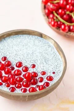 Chia seed pudding and red currant berries in bowl Stock Photos