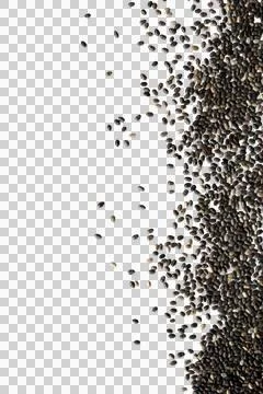 Chia seeds border template copy space Stockfoto's