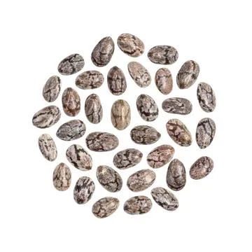 Chia seeds in circular shape Stock-Fotos
