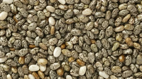 Chia seeds close up Stock Footage 62497474