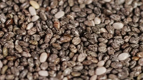 Chia seeds close-up macro. Dry healthy ingredient. Healthy superfood rich in Stock Footage 257087928