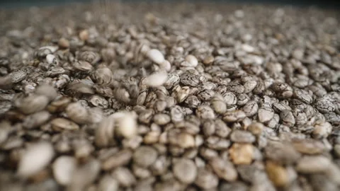 Chia Seeds Falling from above, Forming a pile. Dolly slider extreme close-up. Stock Footage 254895519