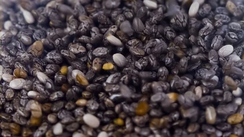 Chia Seeds Falling on a Heap Close Up Slow Motion 1500fps Macro Stock Footage 119809247