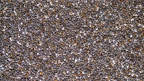 Chia seeds. Stock-Footage 234589336