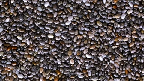 Chia seeds. Macro background of chia seeds close up. Stock-Footage 242016448