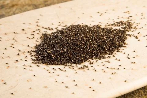 Chia seeds 스톡 사진