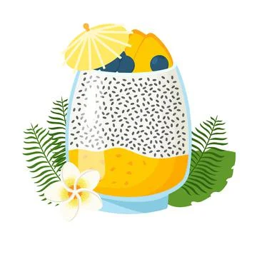 Chia seeds pudding vector illustration Stock Illustration
