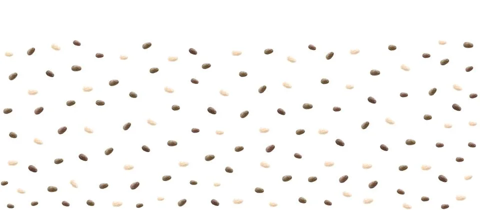 Chia seeds vector background Stock Illustration