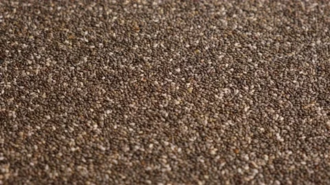 300 Chia Seeds Stock Videos, Footage, & 4K Video Clips - Getty Images