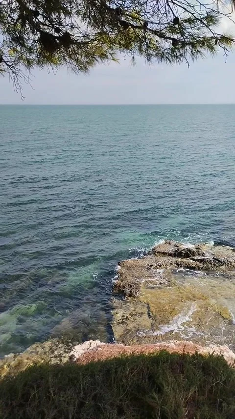 Chiancamasitto Beach Serenity: Where Pine Boughs Meet the Whispering Sea Stock Footage 250356582