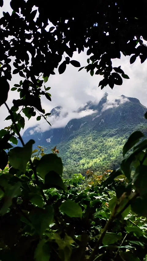 Chiang Dao Stock Footage 325762304