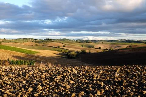 Chianti Landscape Foto stock