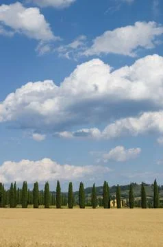 Chianti landscape Stock Photos