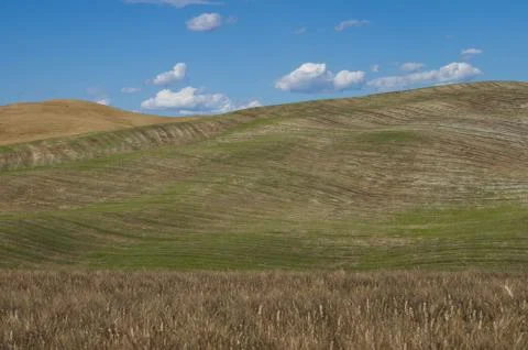 Chianti landscape Foto stock