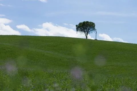 Chianti landscape Foto stock