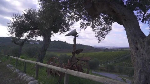 The Chianti valley Stock Footage 71324084