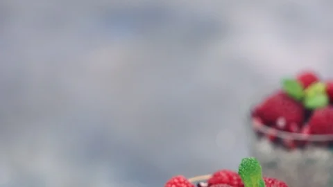 ChiaPudding Stock Footage 91592002